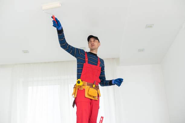 Best Mold Remediation for Vacation Homes  in Derma, MS